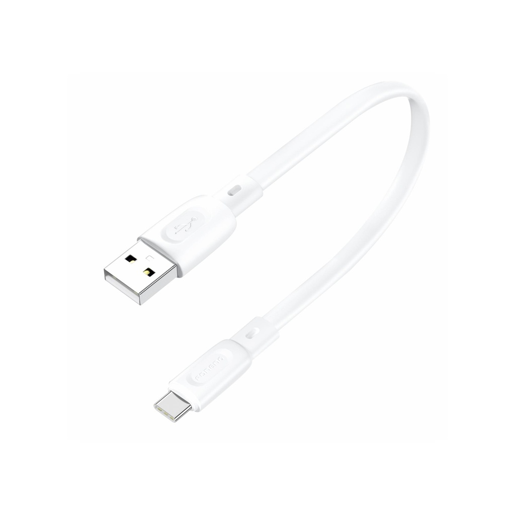 [X107-C] FONENG X107 Type C 25CM Silicone Flat Cable (60W)